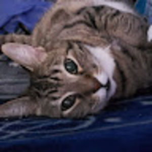 Meet your Posher, Martin